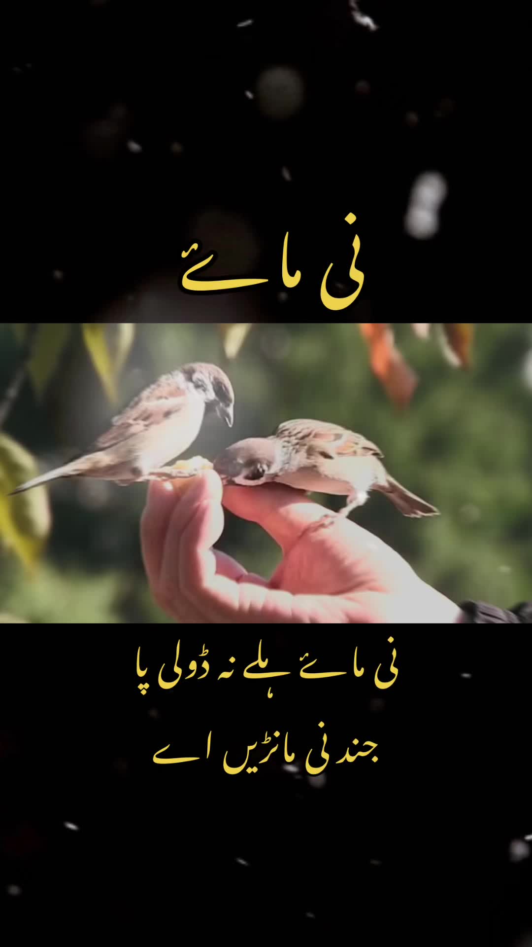 @Jat sab