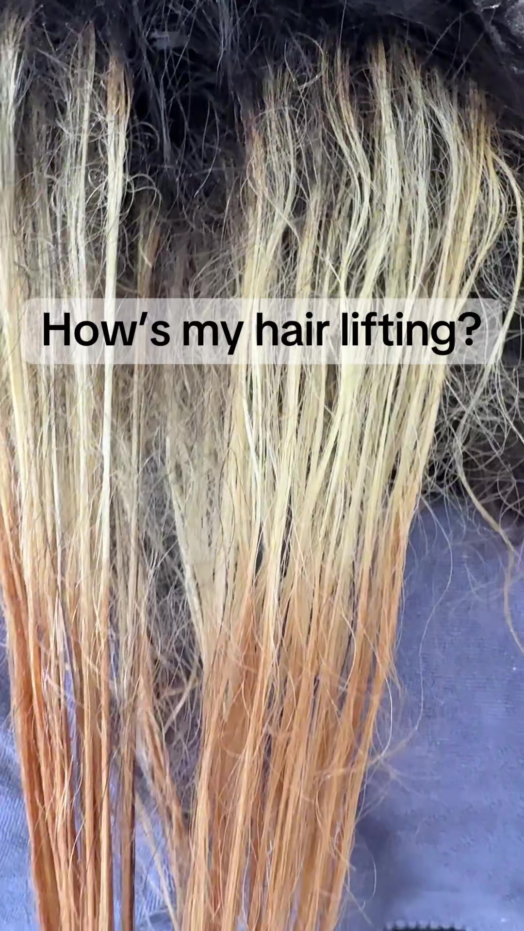 @hairbykimera
