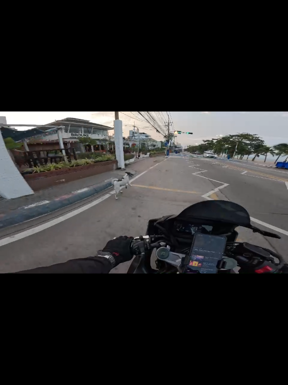 @gymlifeไทย