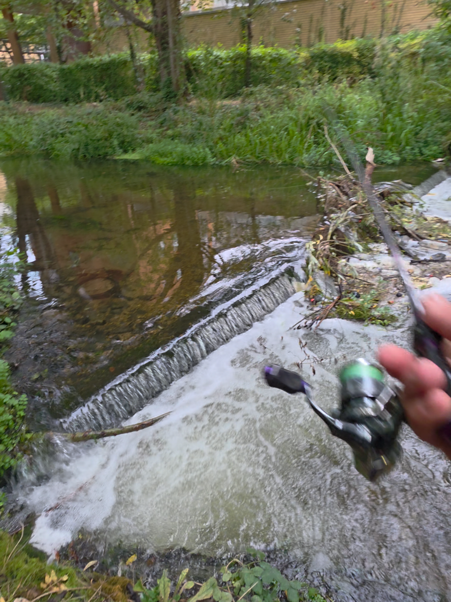 @BF Angler