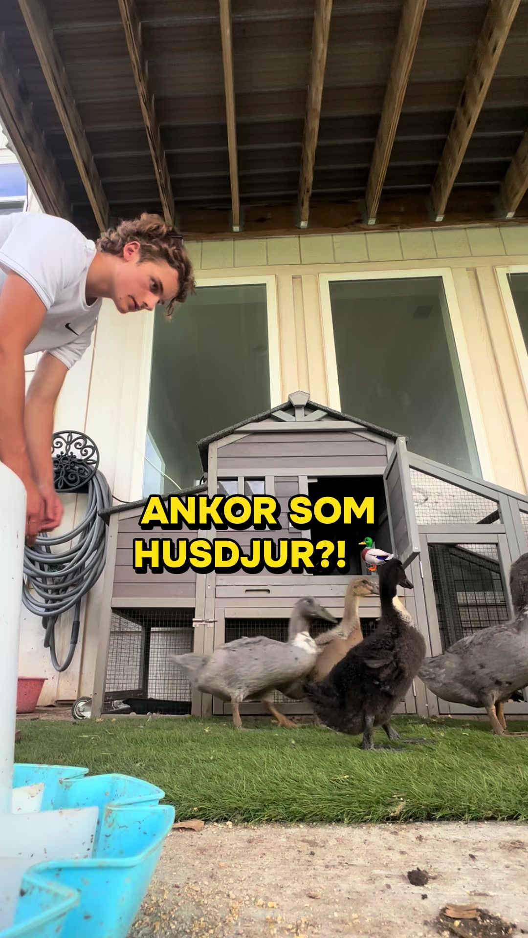 @Lillebror