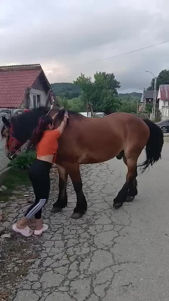 @👑alina🐎👑