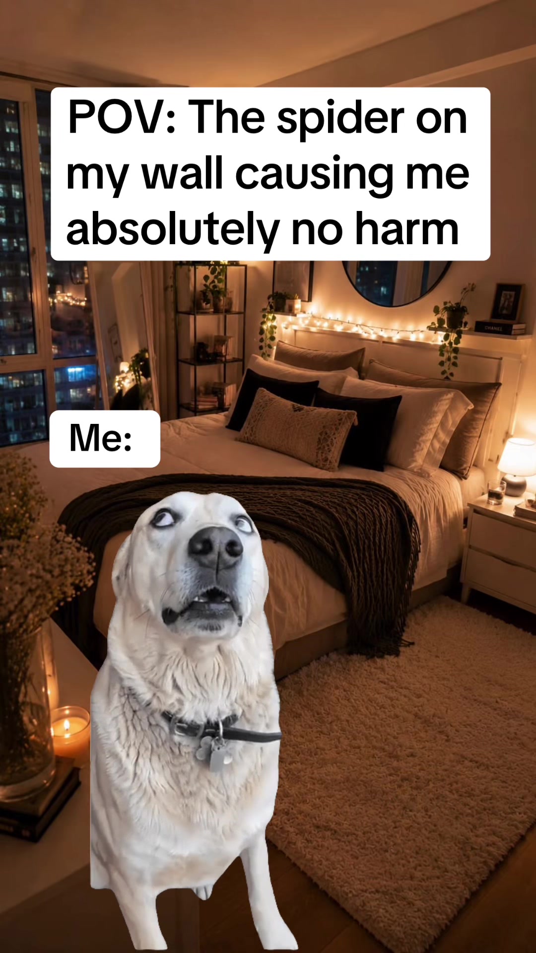 @Pixie Memes