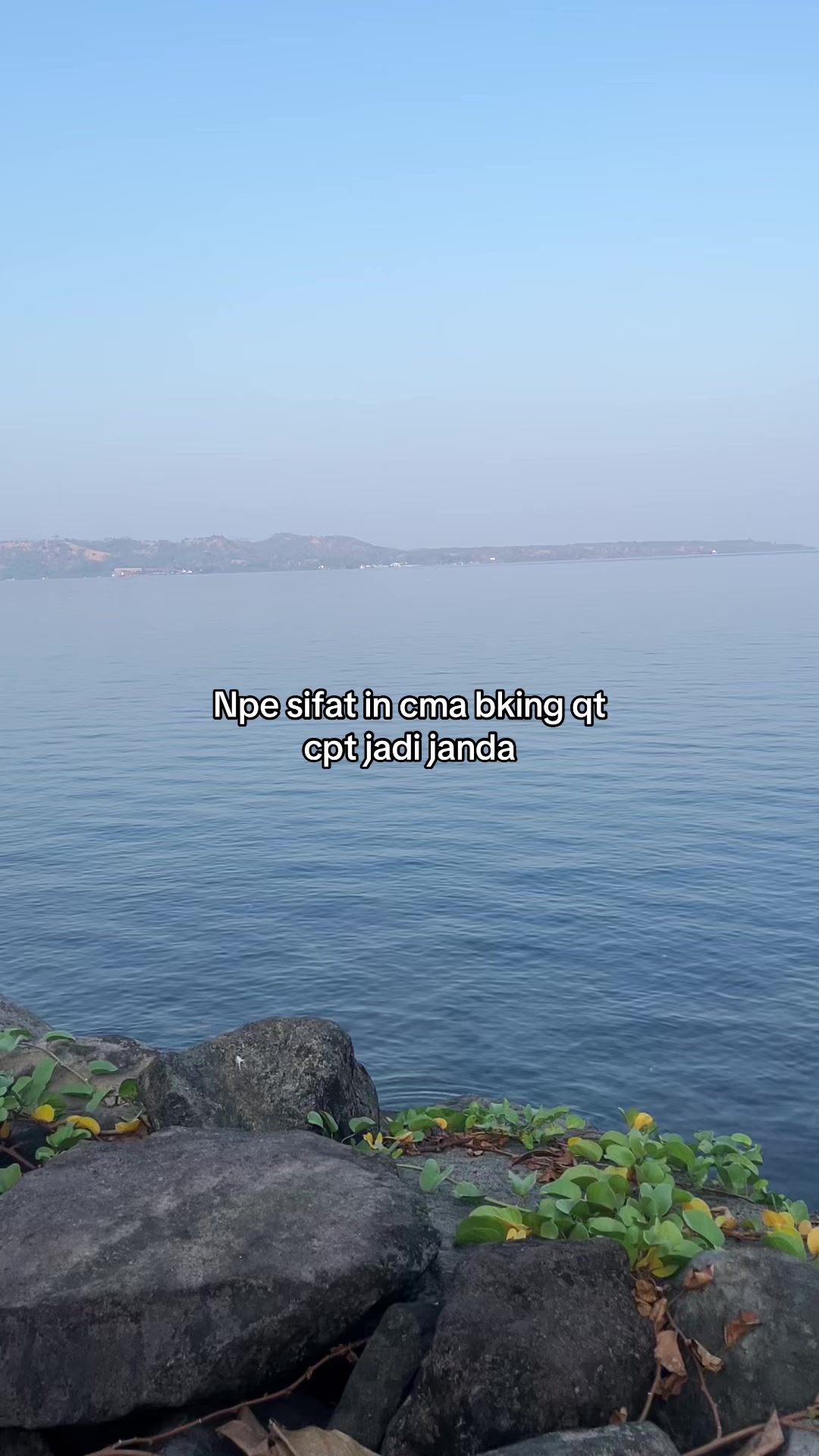 @FalAja
