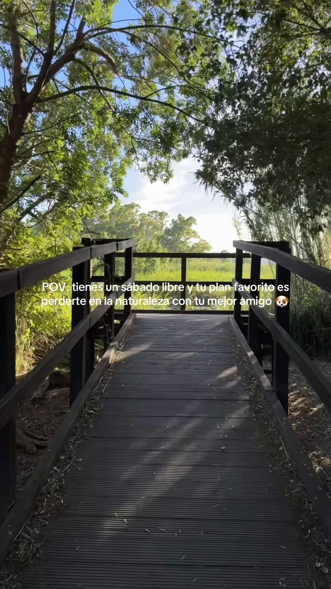 @simo🌸