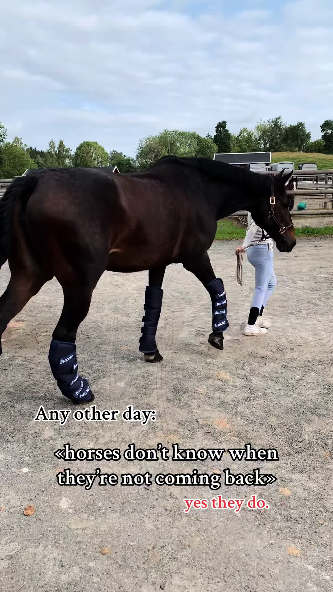 @hedda.equi