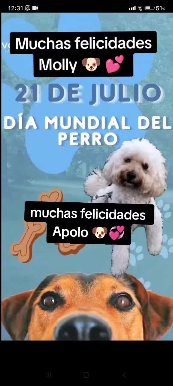 @🇪🇸😊Pascu&Molly🐶🇪🇸