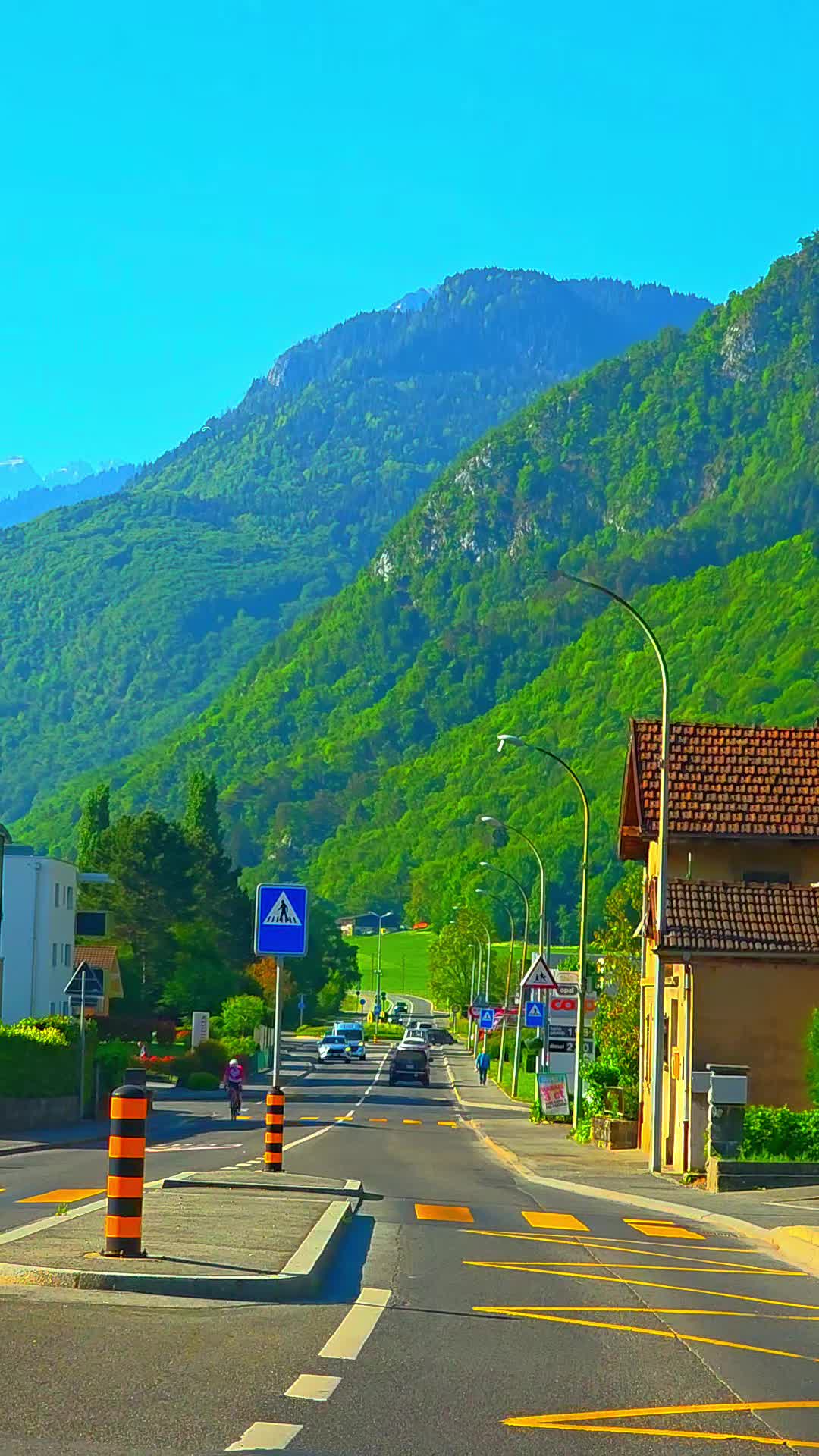 @🇨🇭flores Sérgio 🇵🇹