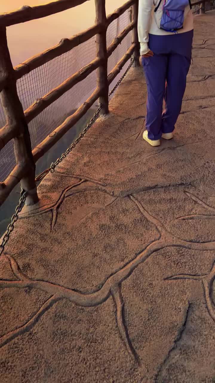 @—Z 🧸♡