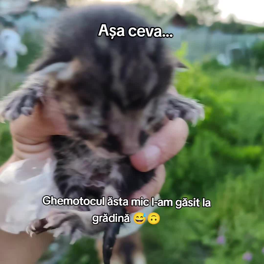 @Alina 💕🤗😘😉