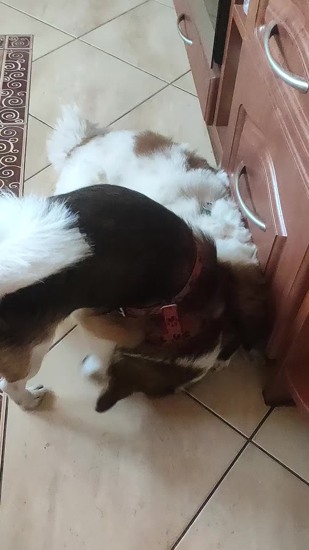 @Николаевич