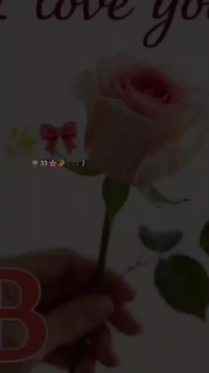 @billlli 🐈⬛🐈⬛🐈⬛🐾🐾🐾
