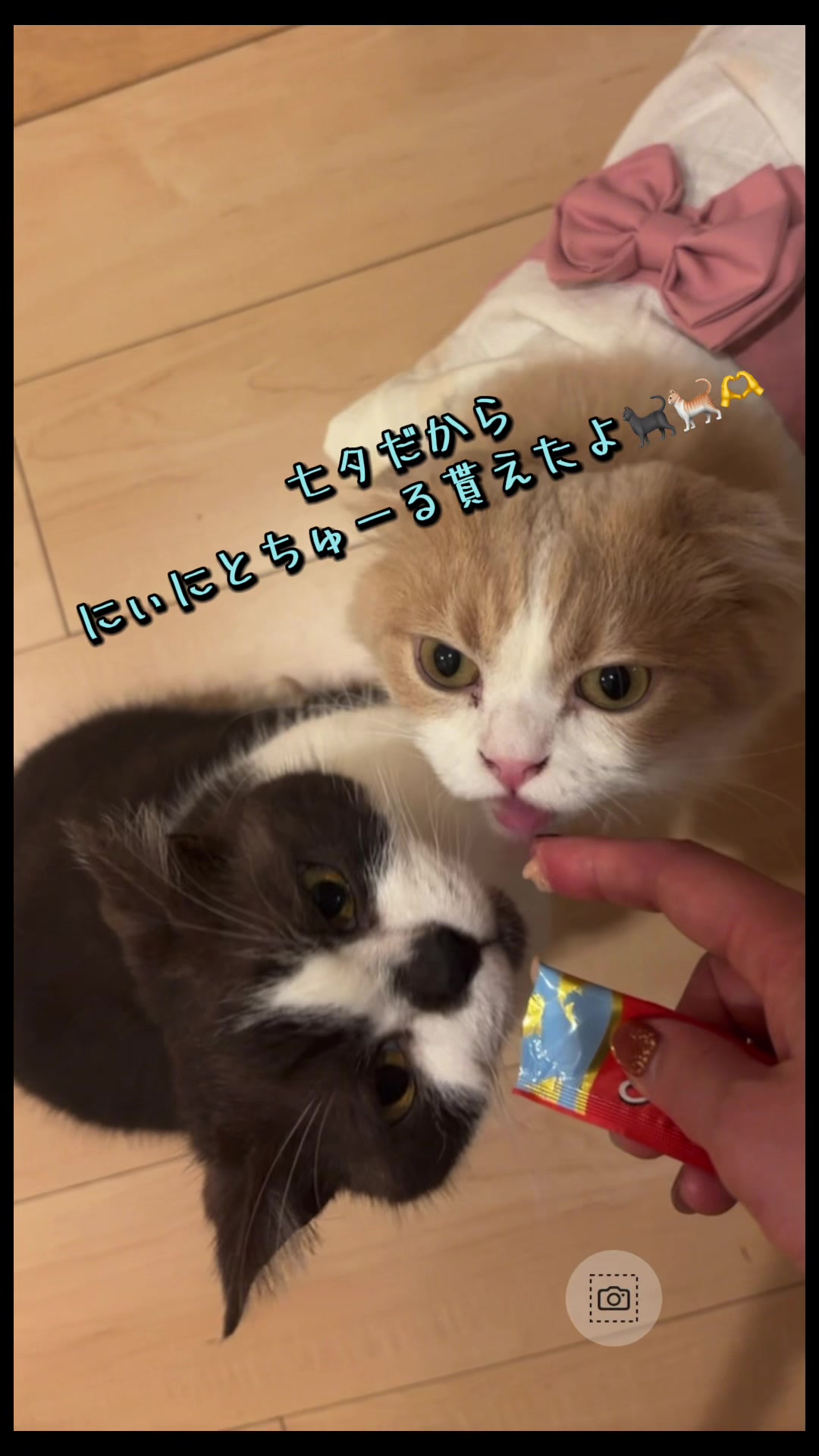 @くるラテ