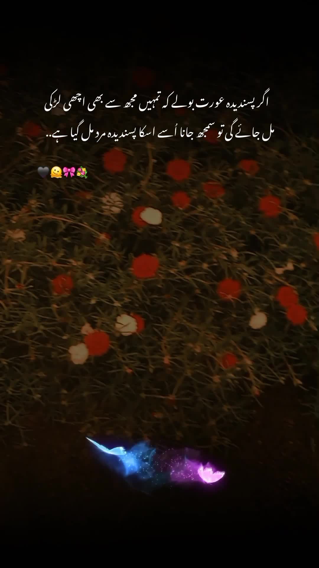 @Noor 𓍯𓂃ᥫ᭡.