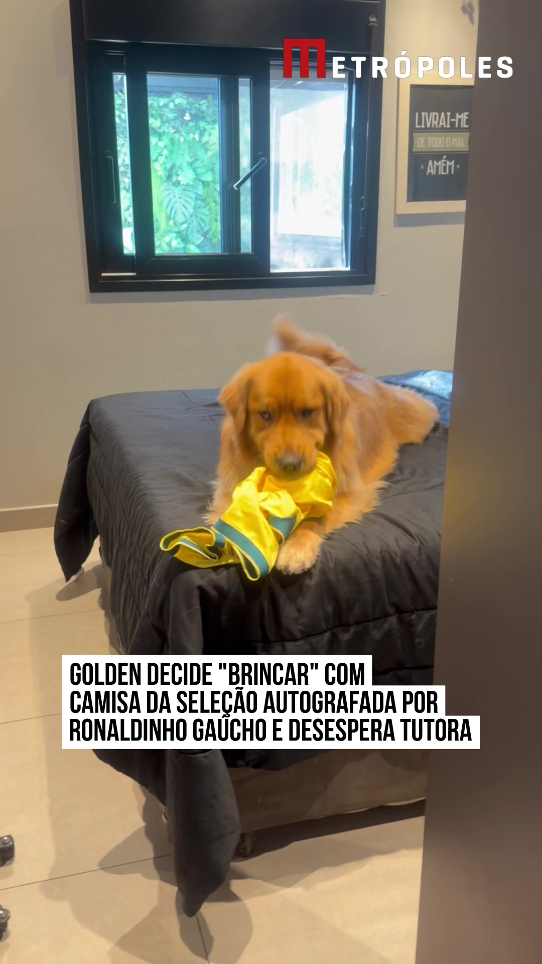 @Metr&oacute;poles Oficial
