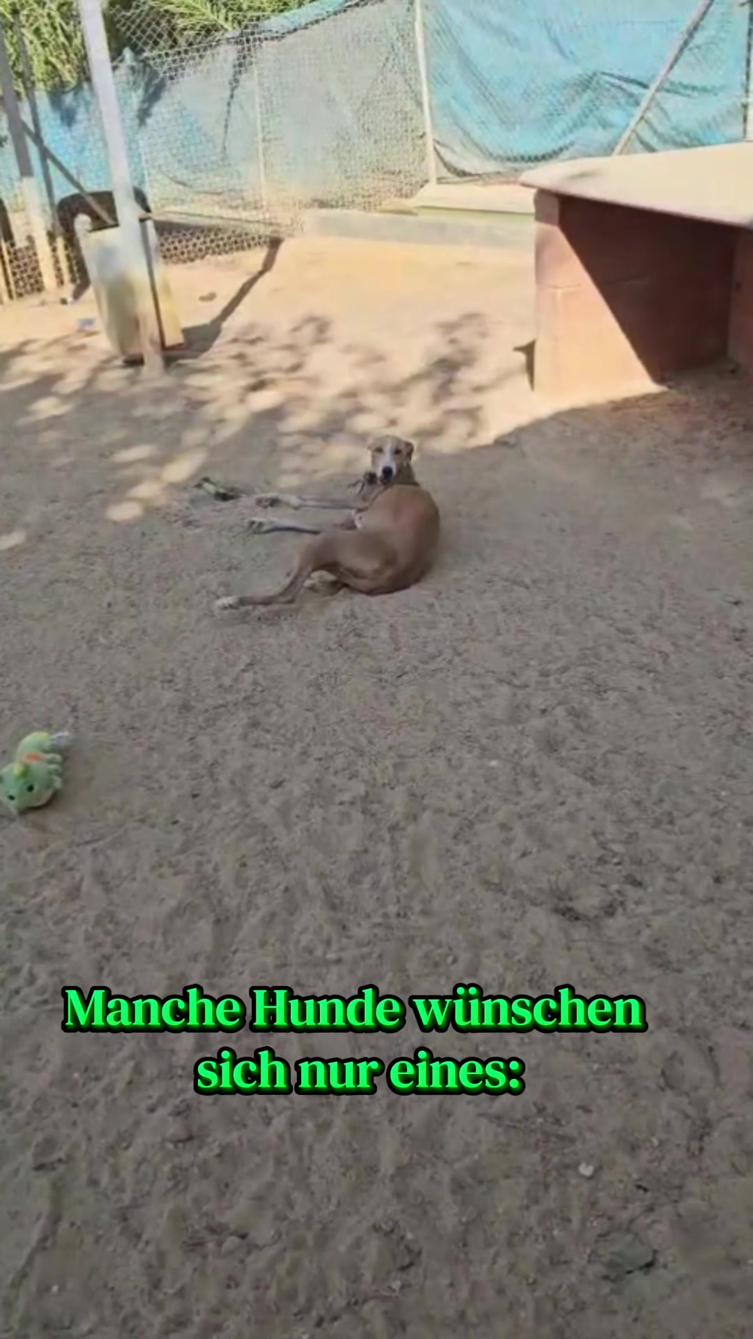 @Parenas Pfotenhilfe