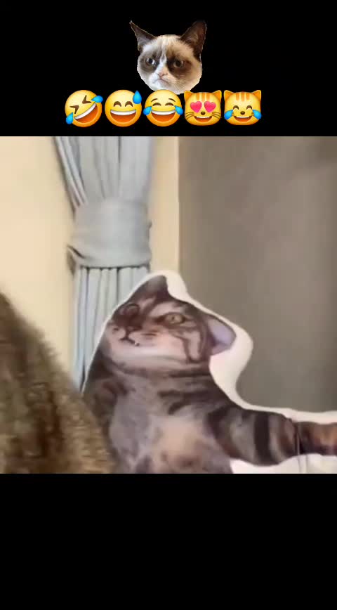 @🤣Vidéos Drôles.Zzz