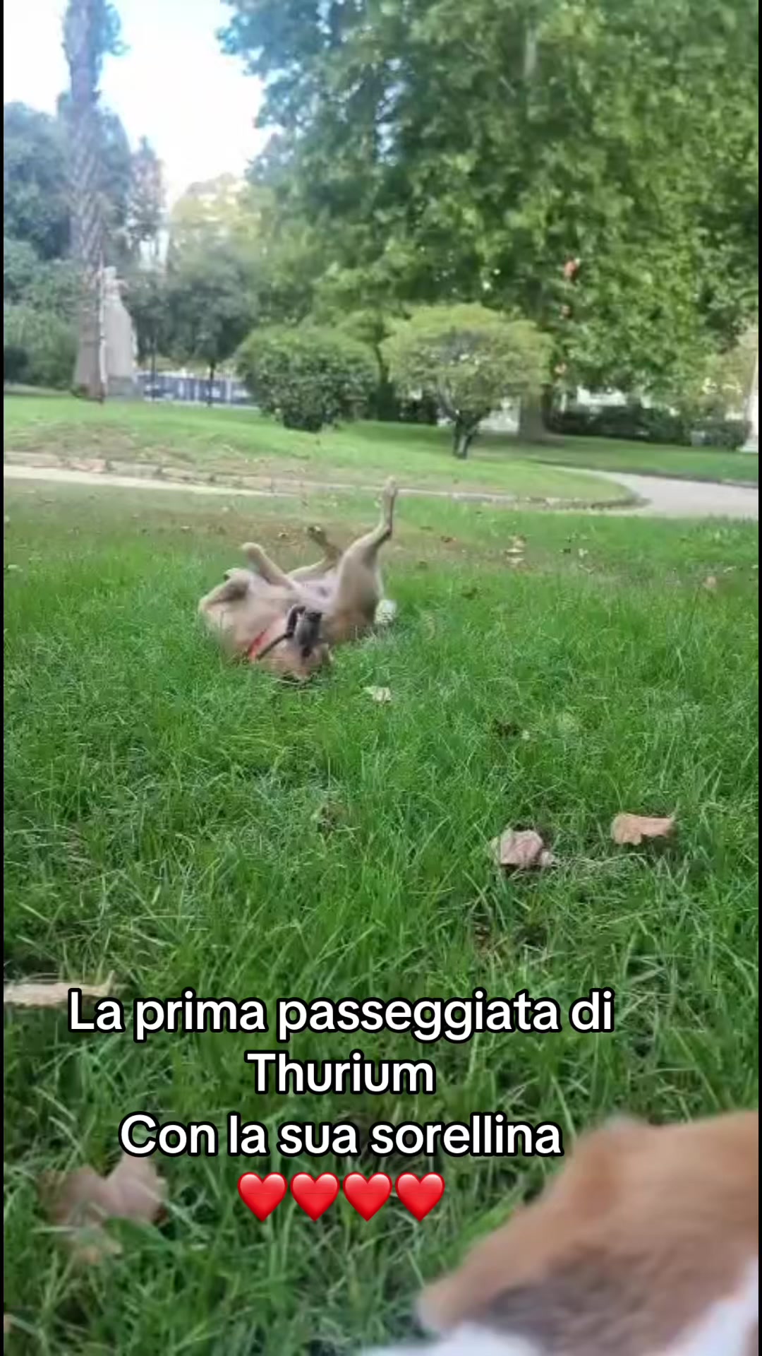 @Titty