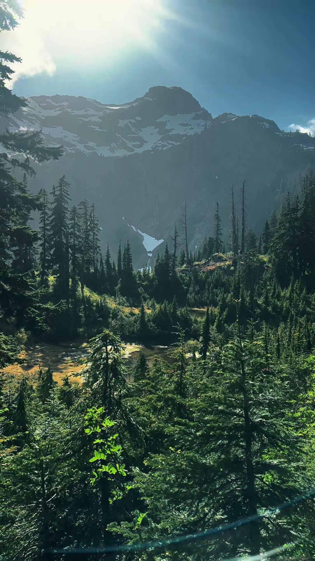 @🌲 James | WA 🏔️