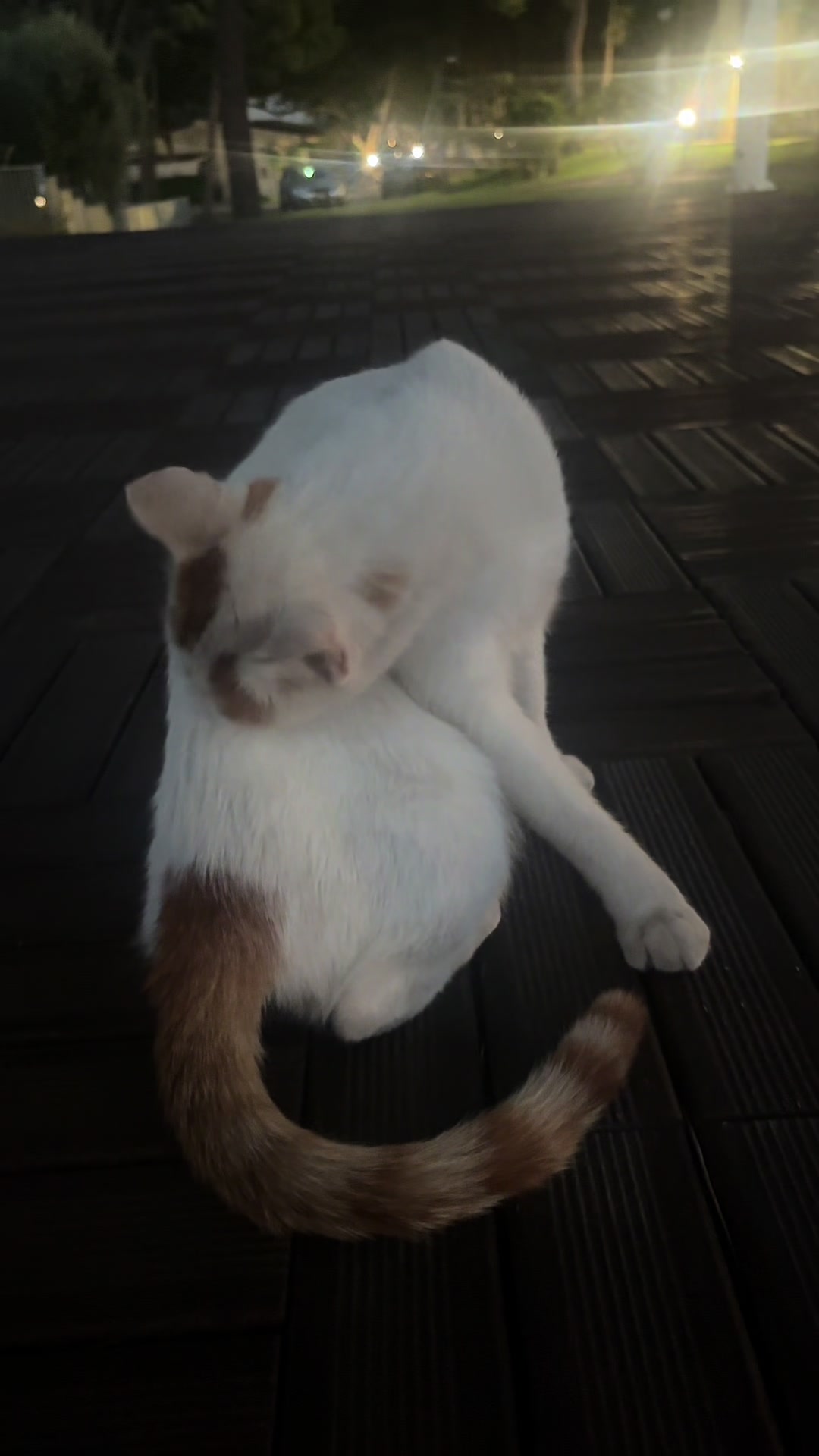 @𝐾 𝑖 𝑡 𝑎 𝑚 𝑎