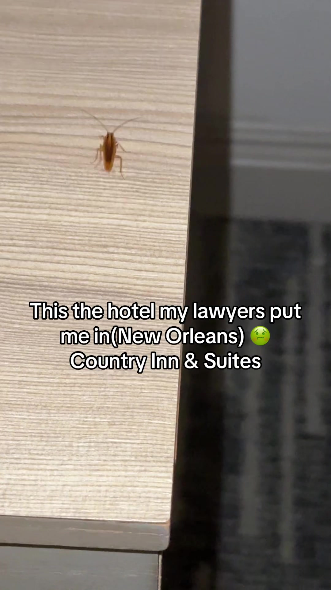 @Netteybaby⚜️