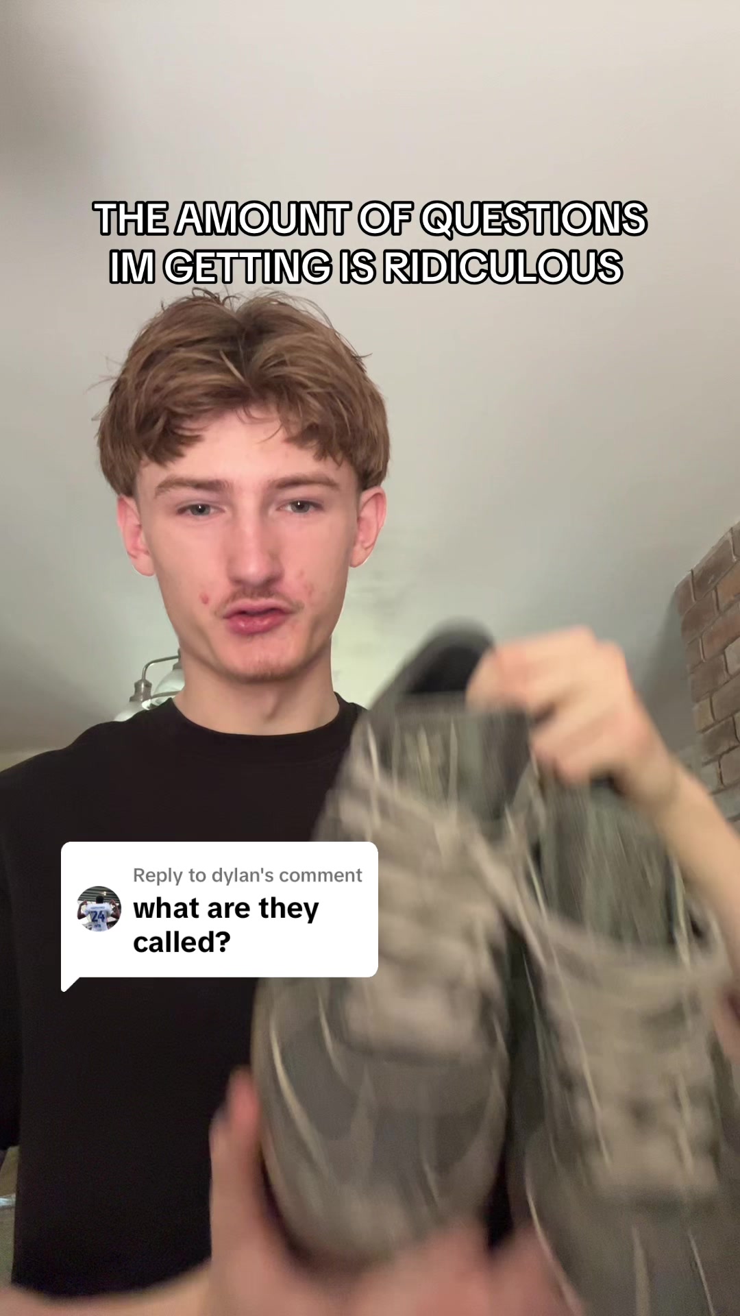 @haz_mp4