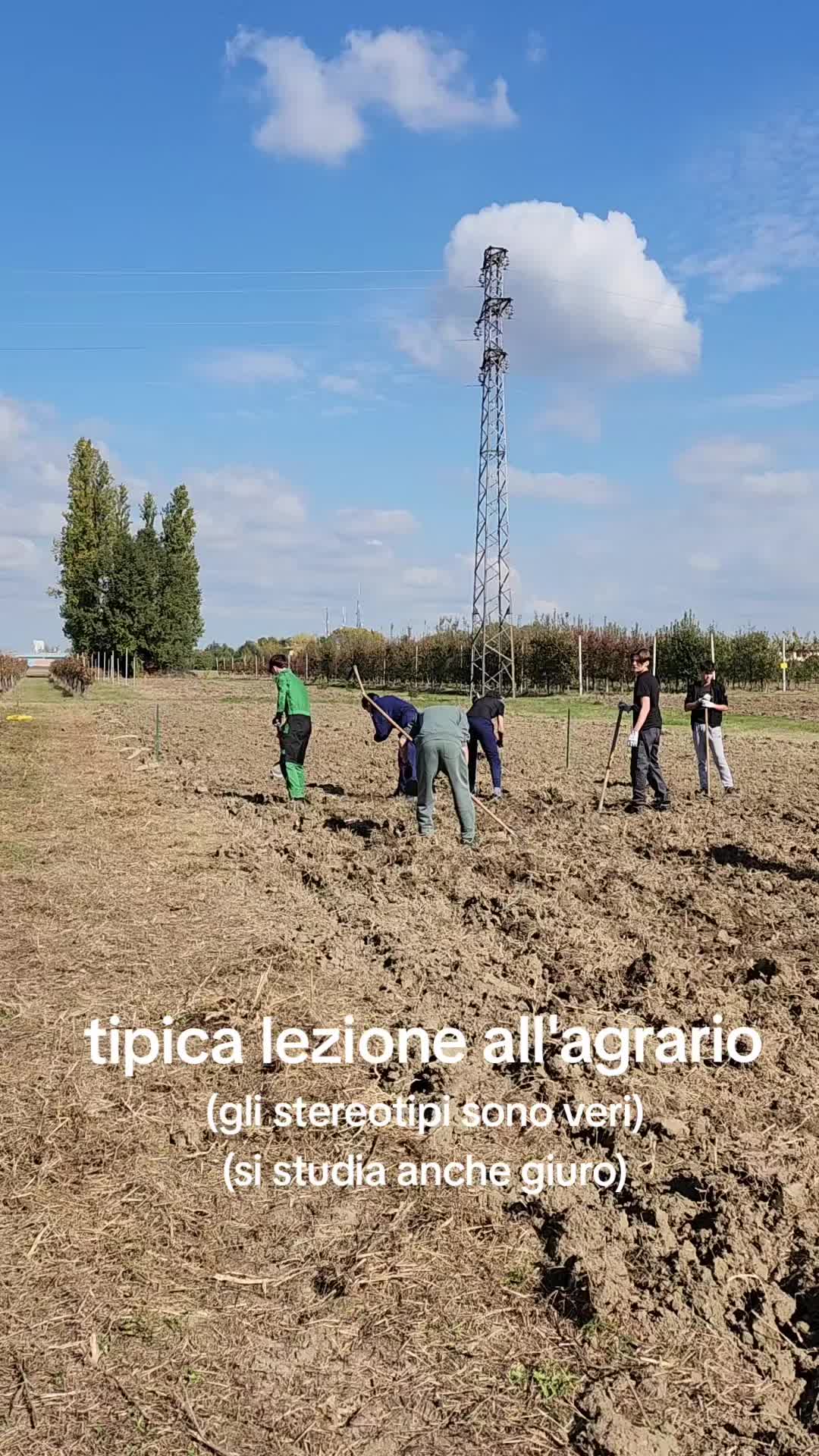 @3A