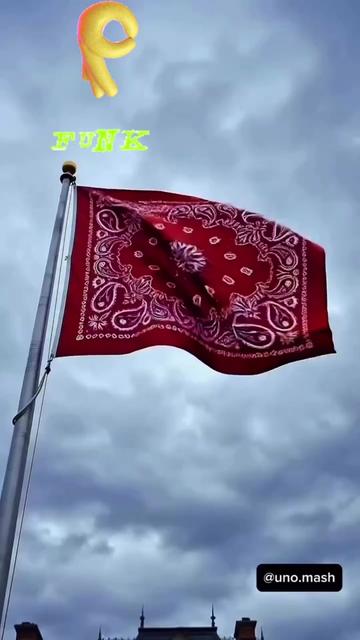 @D Real👑🦁⚔️💎