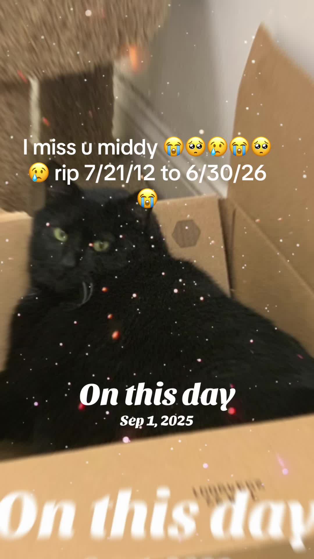 @Courtney.positiviteam 🏳️&zwj;🌈
