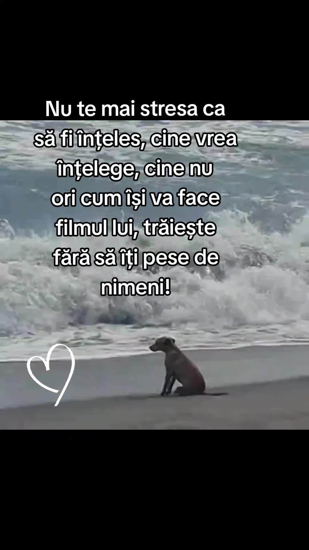 @Doar eu. Y M