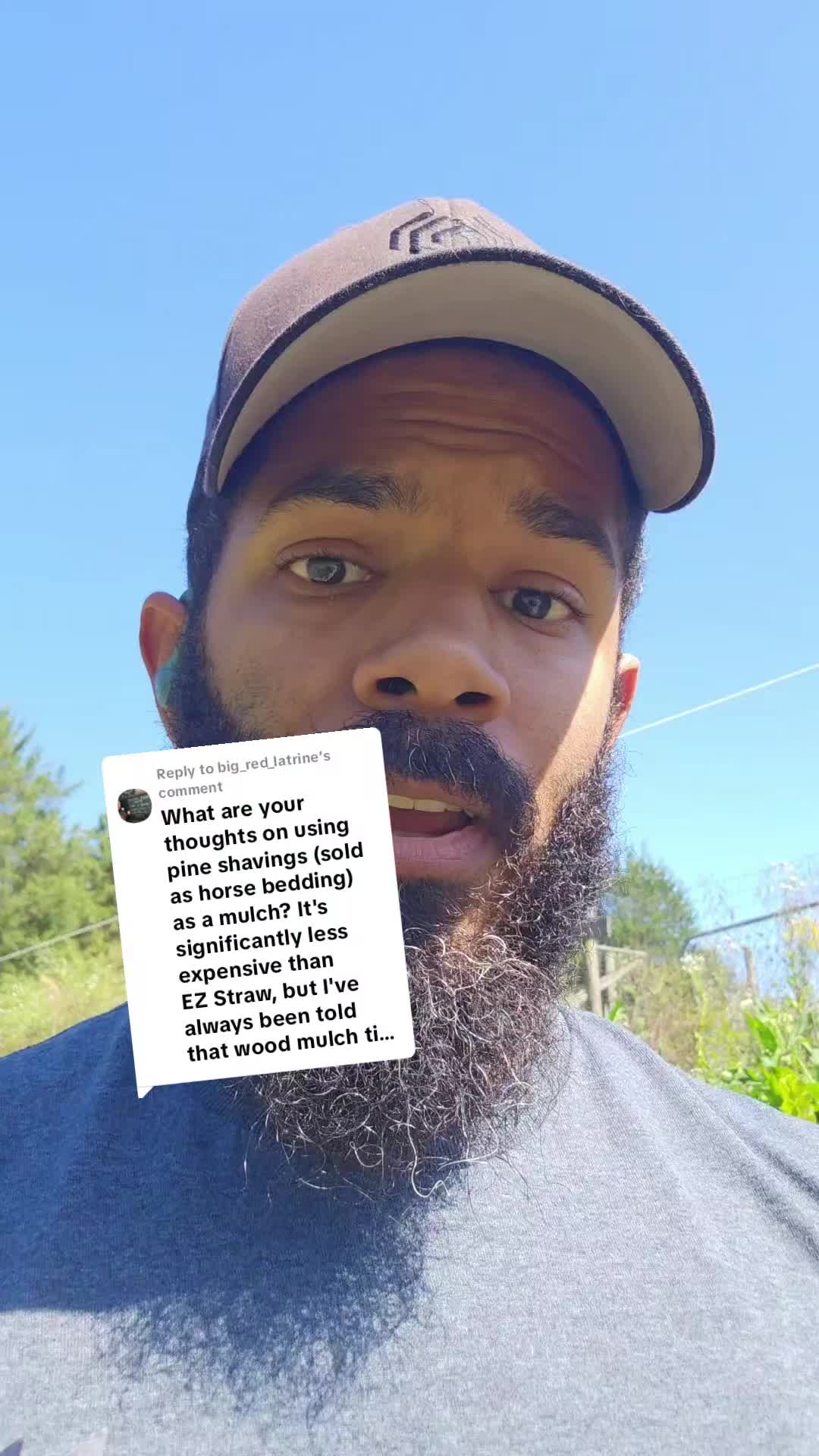 @Tyler | Designer & Homesteader