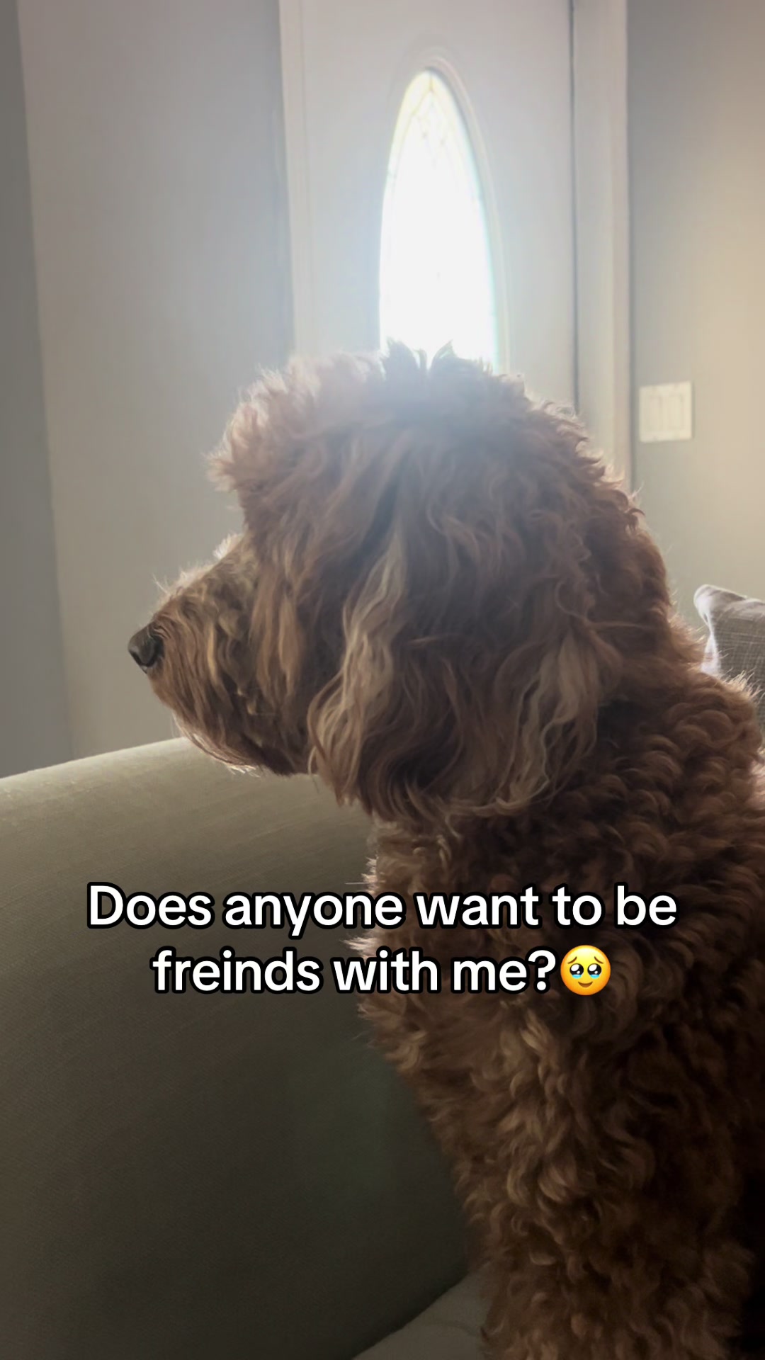 @Goldendoodlelover