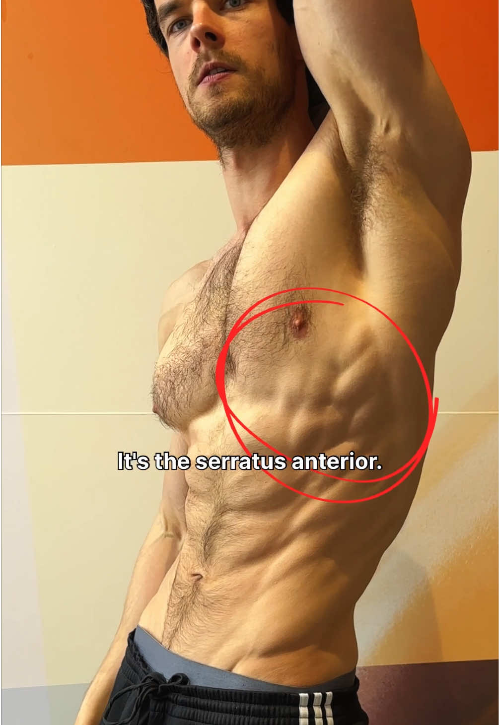 @lucaswest_fit