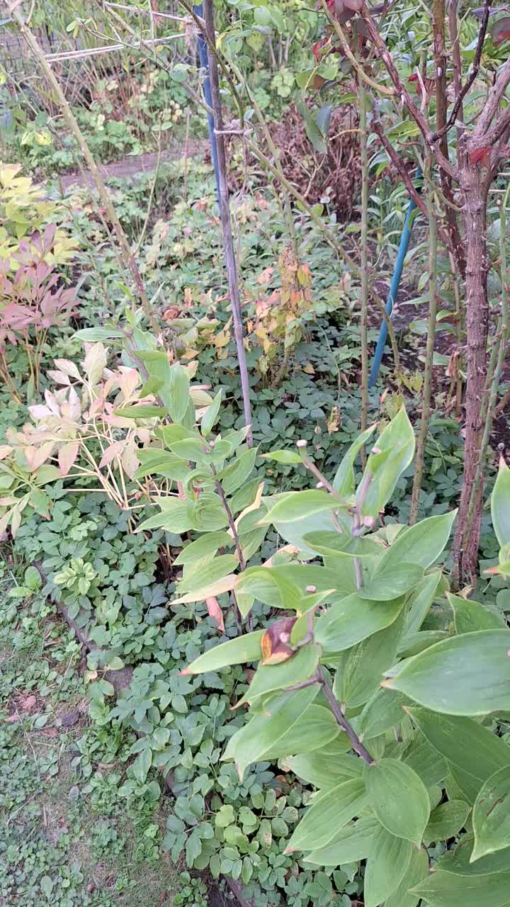@Natur und Garten