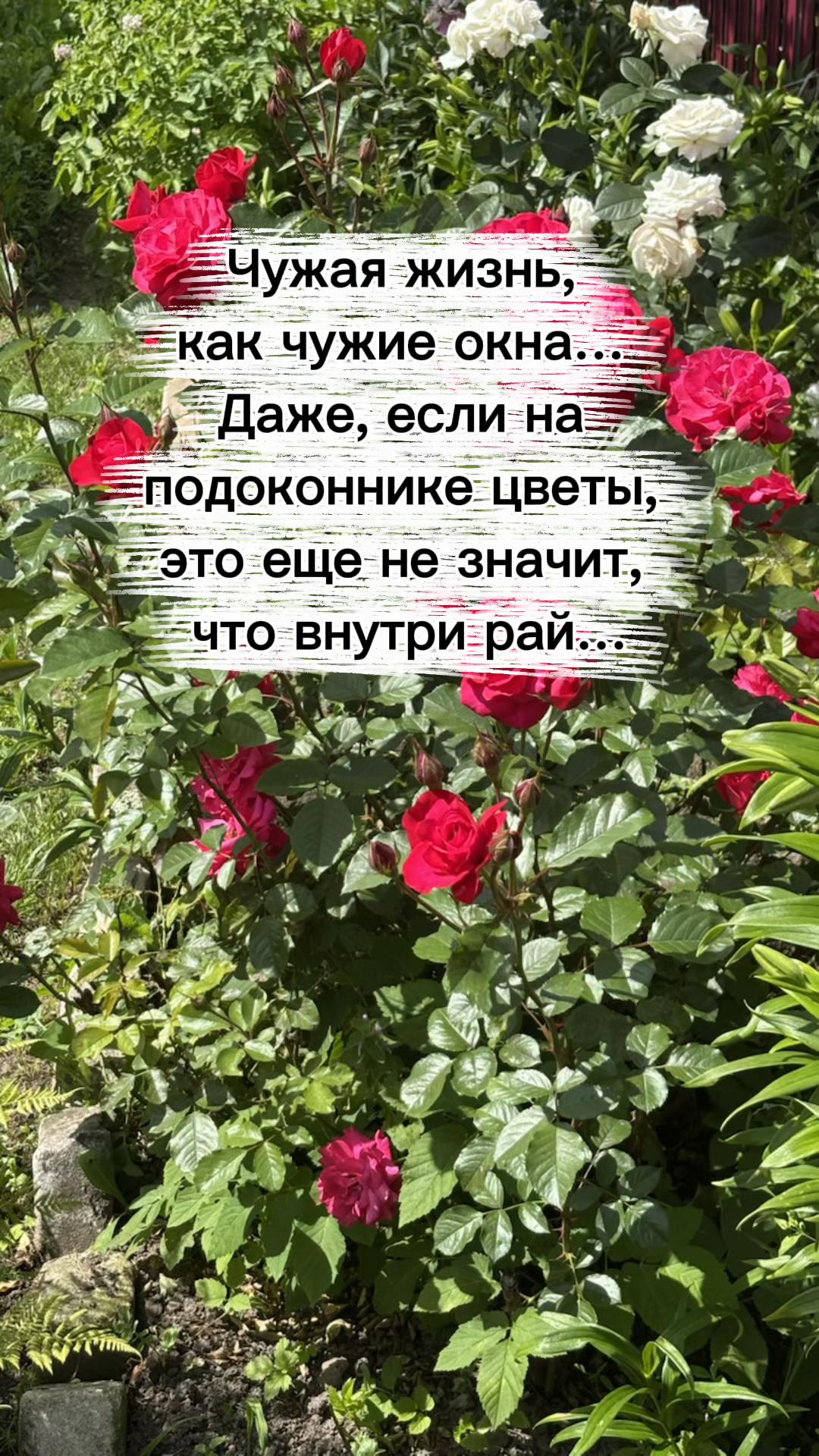 @Елена Скарбовая