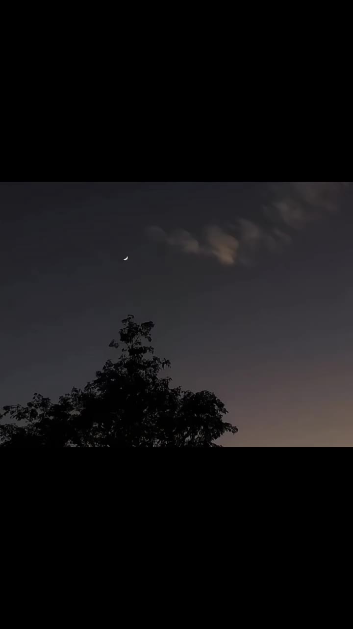 @𓆩♡𓆪