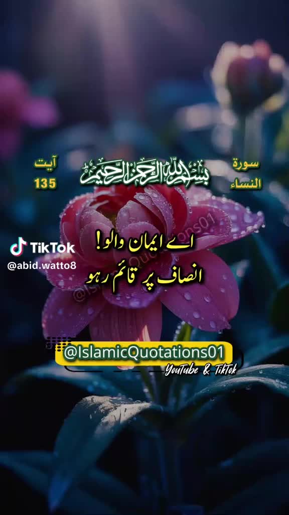 @Raja Jamil