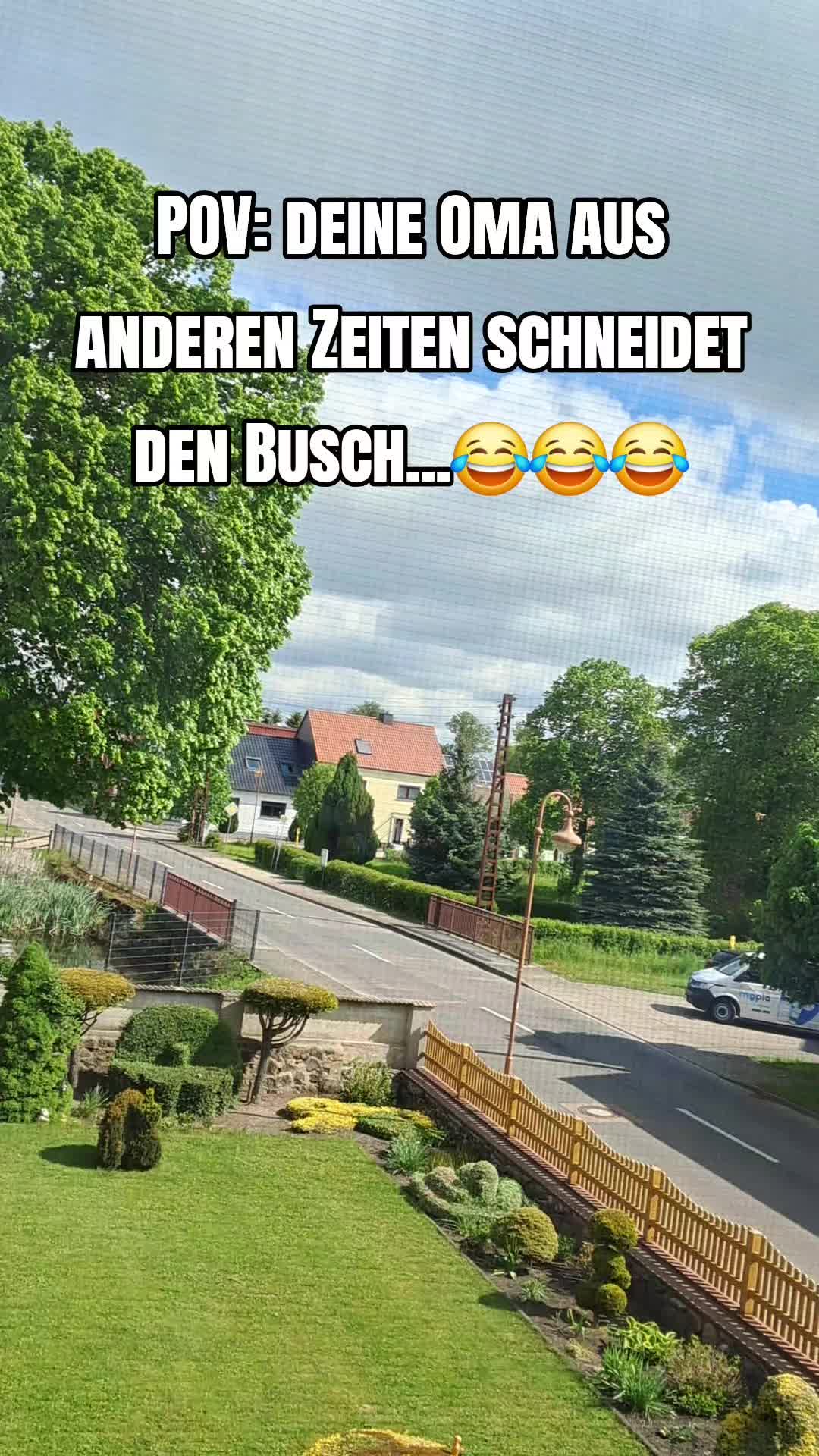 @Cruise_life1