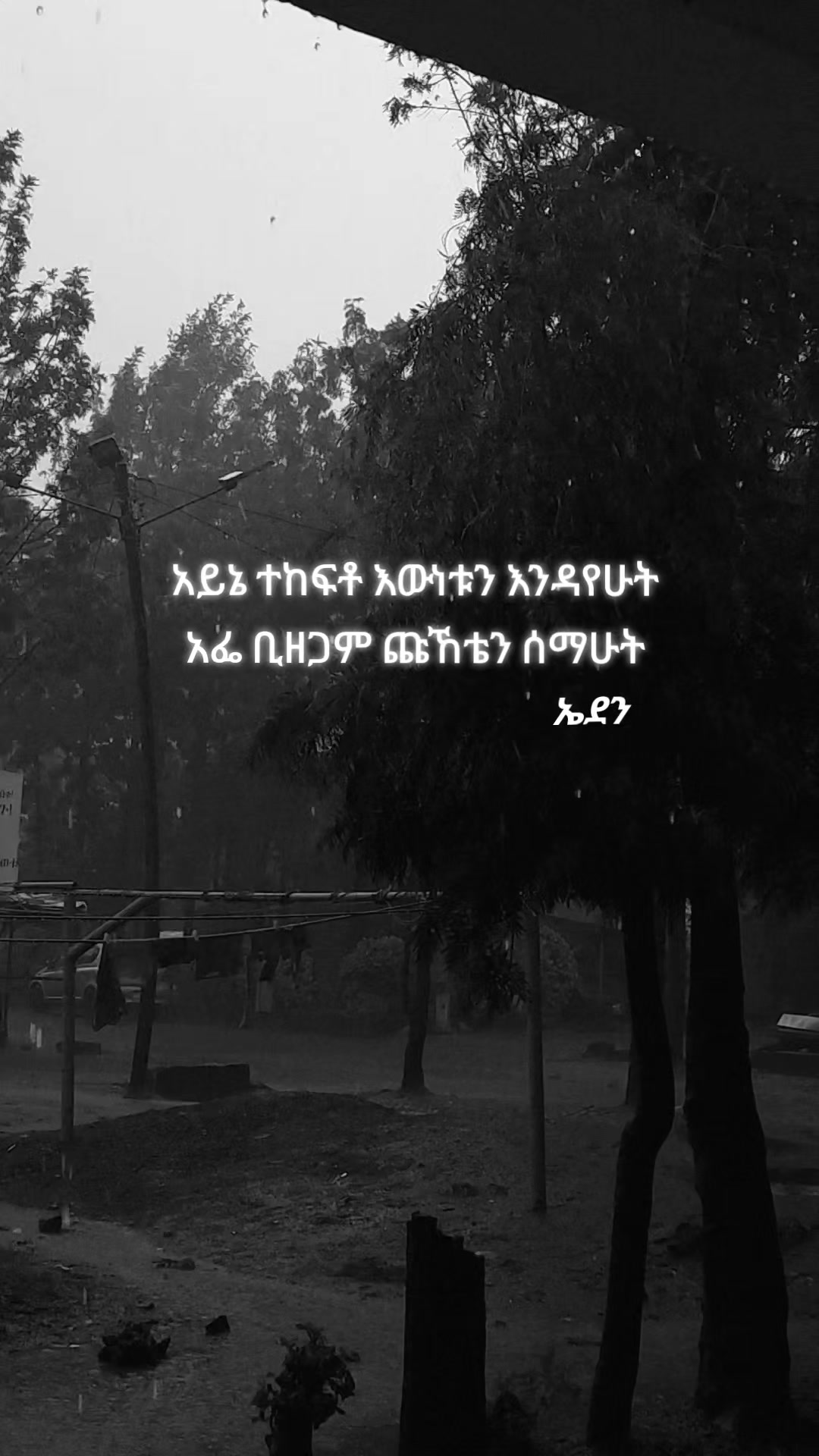 @Eden Getu
