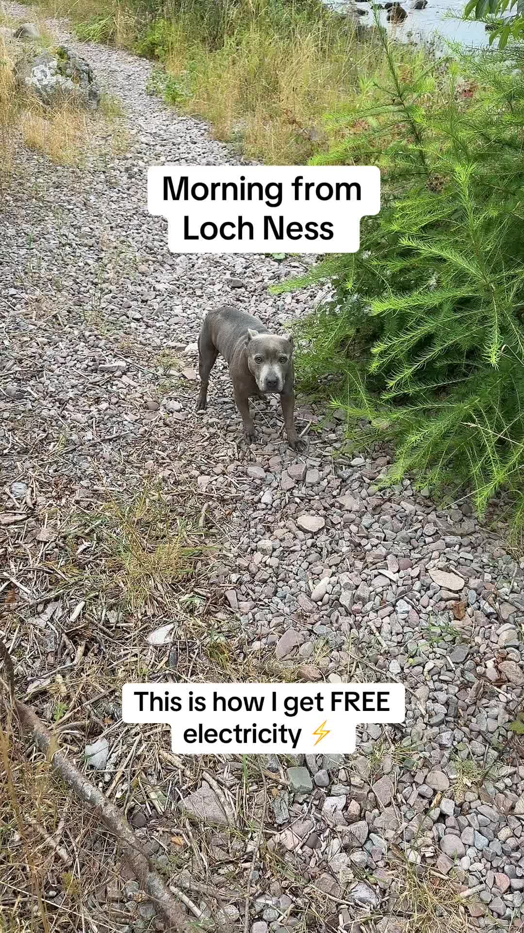 @Shoppingwithslim