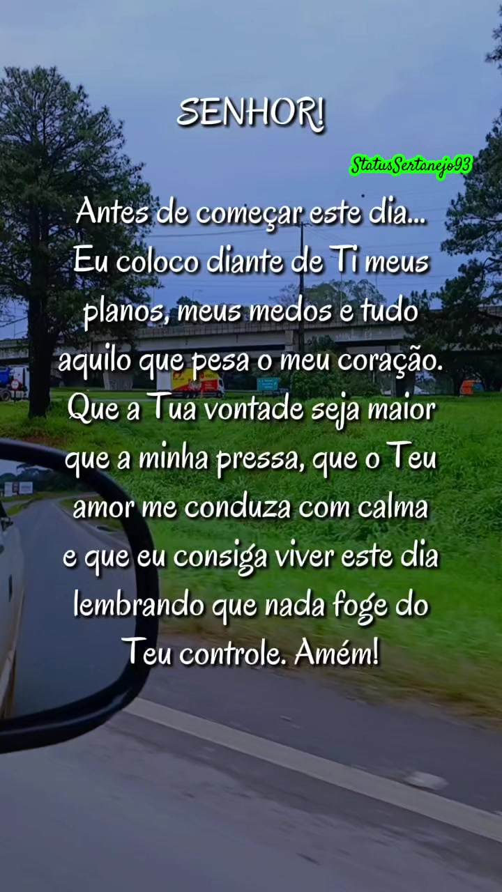 @StatusSertanejo93