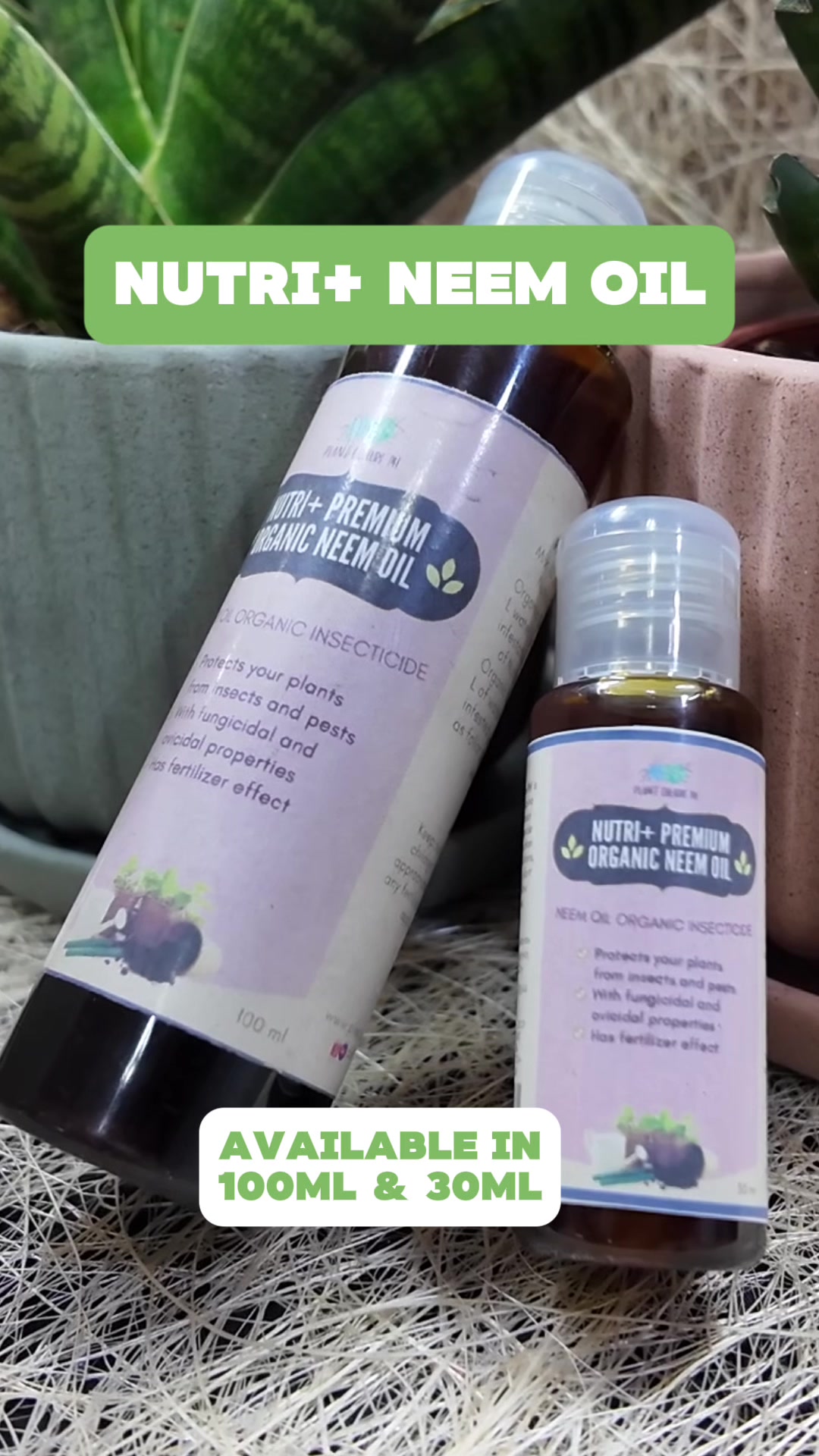 @PlantCulturePH