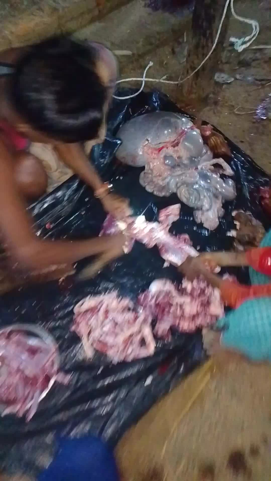 @জাকের🎙️🎙️🎙️🎙️🐟🐟🐟