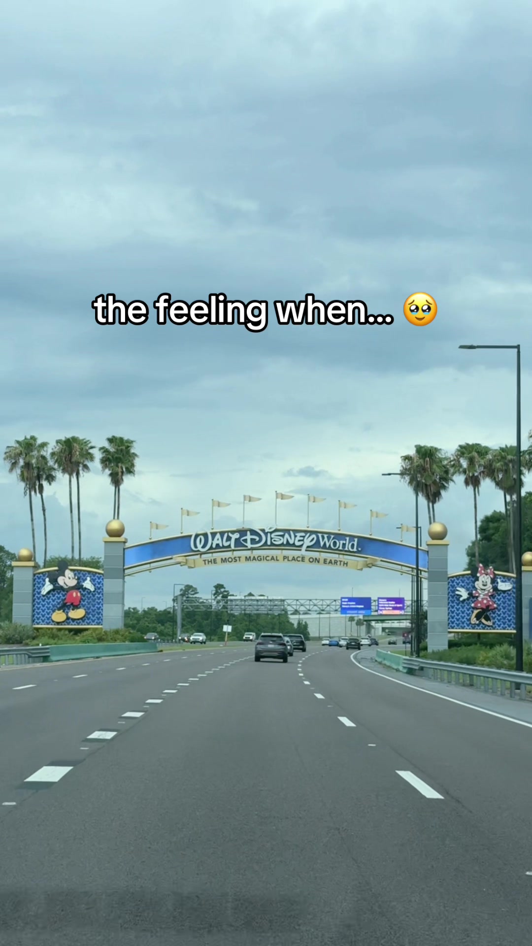 @kimmy 🐣