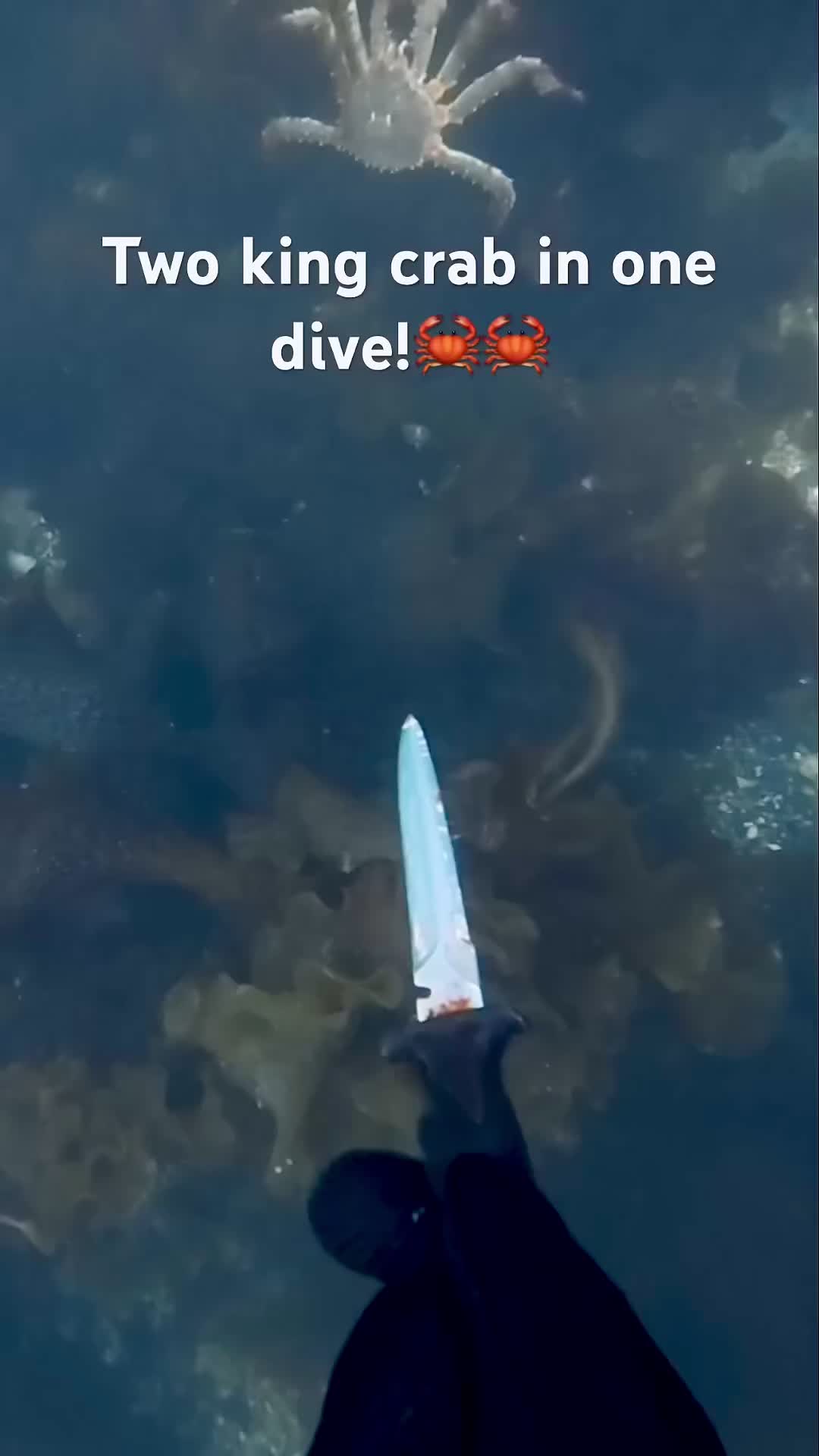 @fishy7780