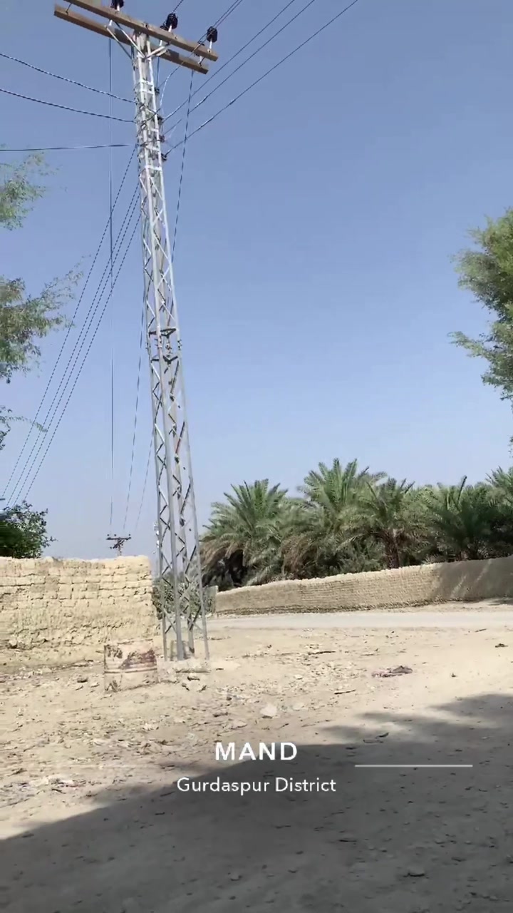 @Haleema balu