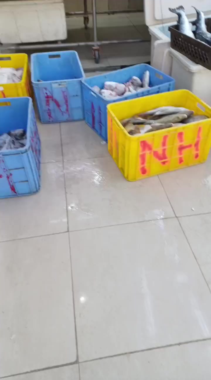 @لاين بحري
