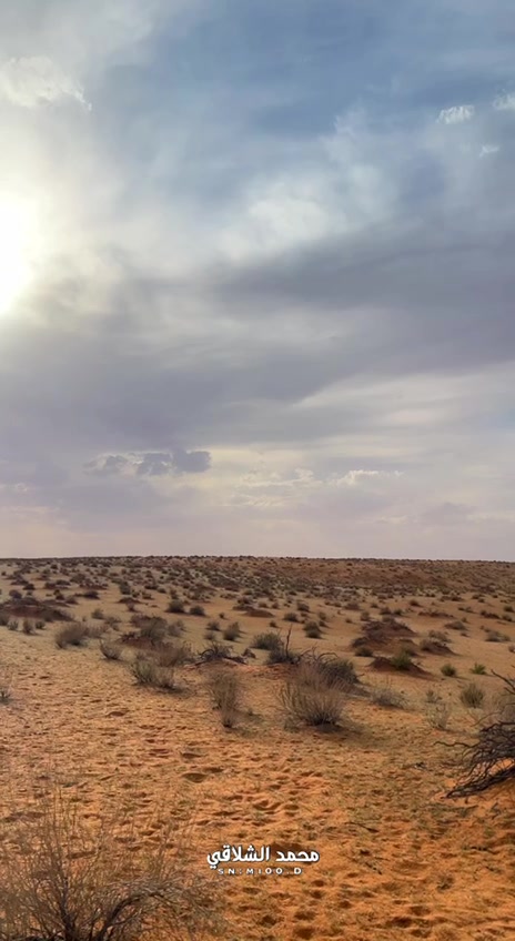 @الإعلامي صقر الشمري