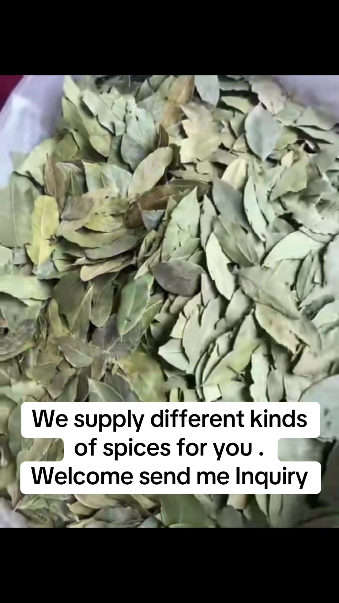 @Bxhspices(ChinaSpicesSupplier)