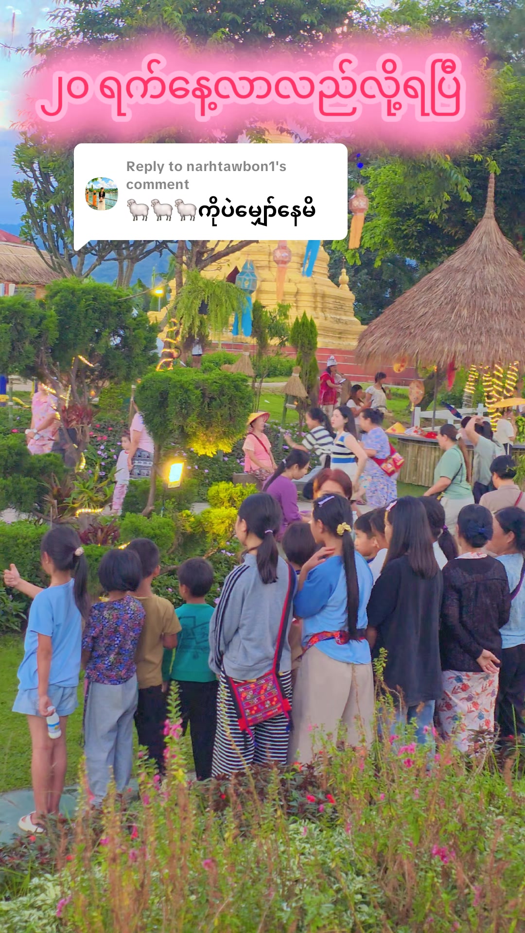 @သစ်တစ်ပင်တောင် (Official)